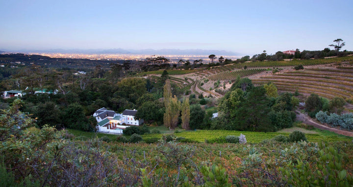 Prescient Merlot Report 2020: Top 10
