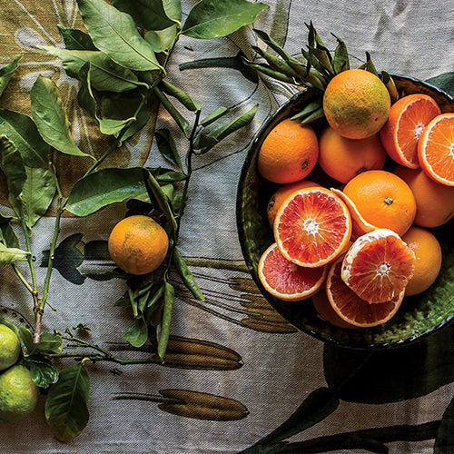 Bright and zesty: Citrus season at Babylonstoren