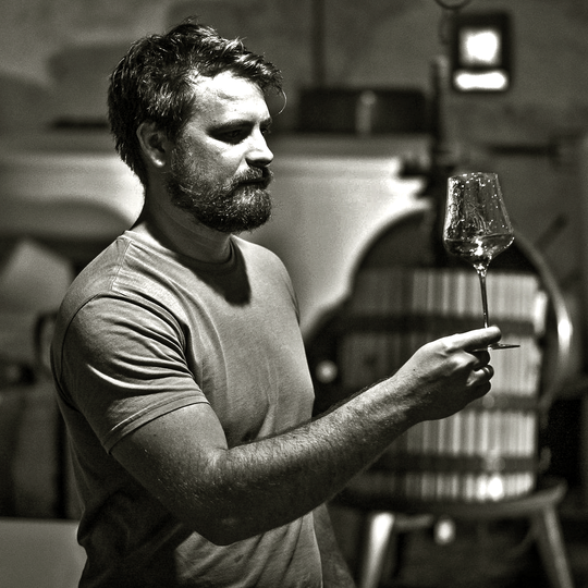 SCIONS OF SINAI  Single Vineyard Vintage 2020 Release