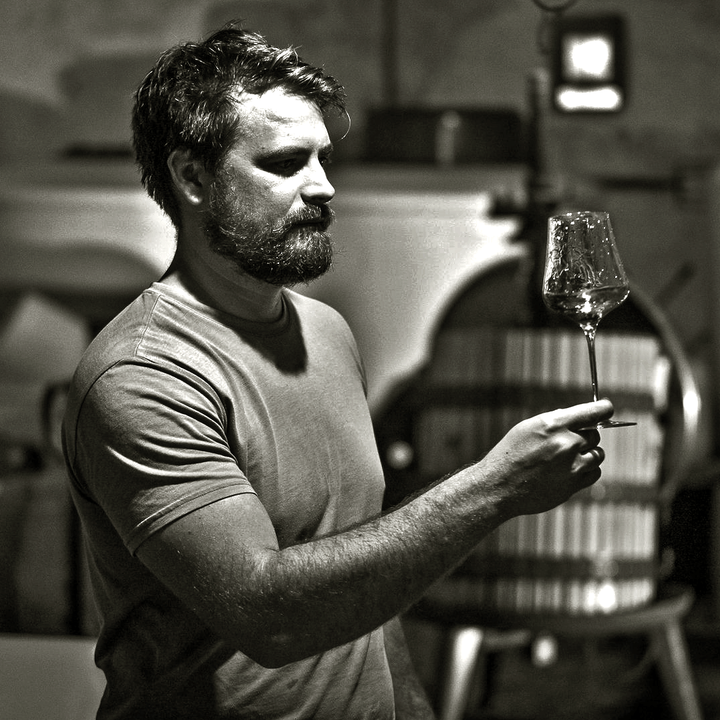 SCIONS OF SINAI  Single Vineyard Vintage 2020 Release