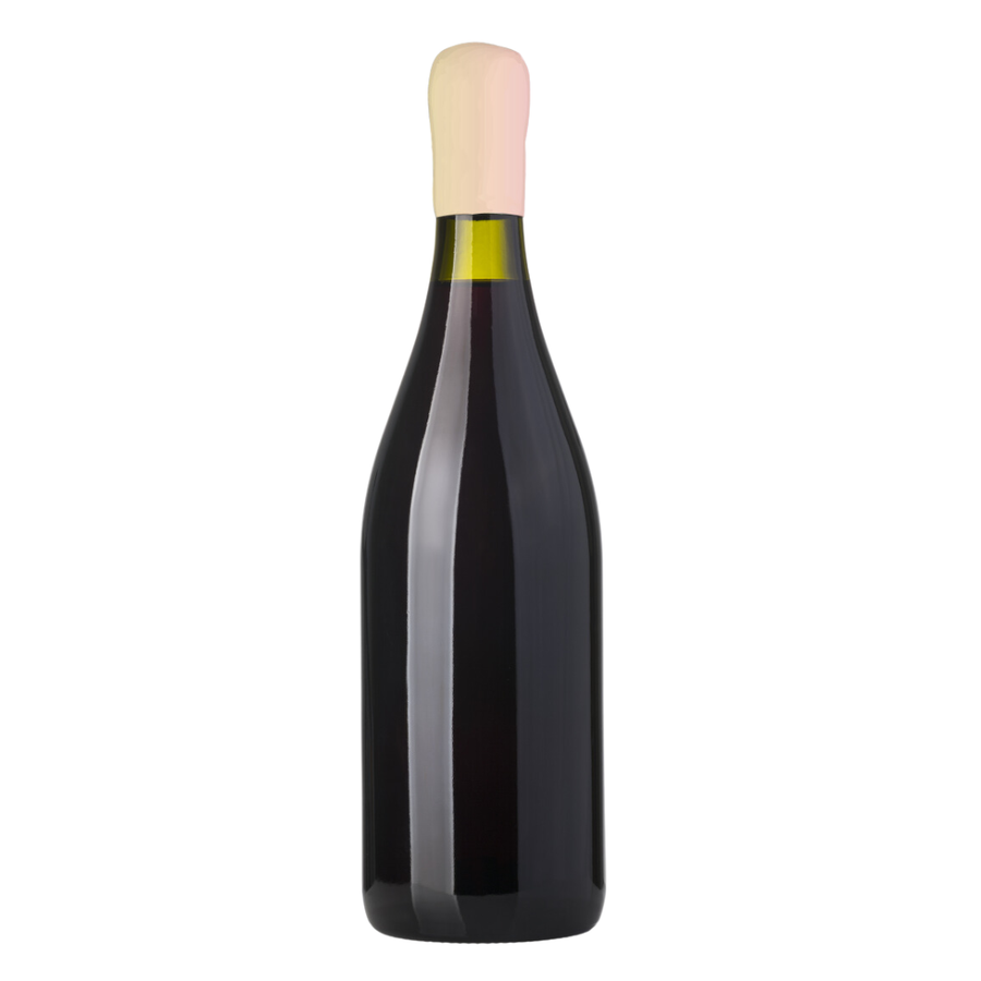 Lost Boy Syrah x6